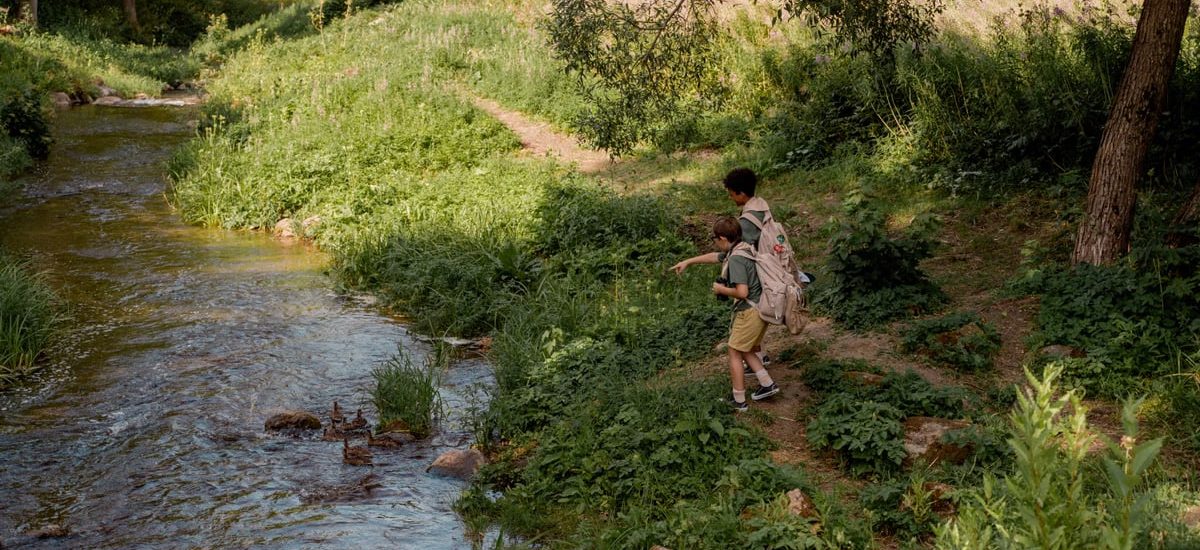 Two boys in scouting uniforms explore a forest path by a stream, enjoying nature.